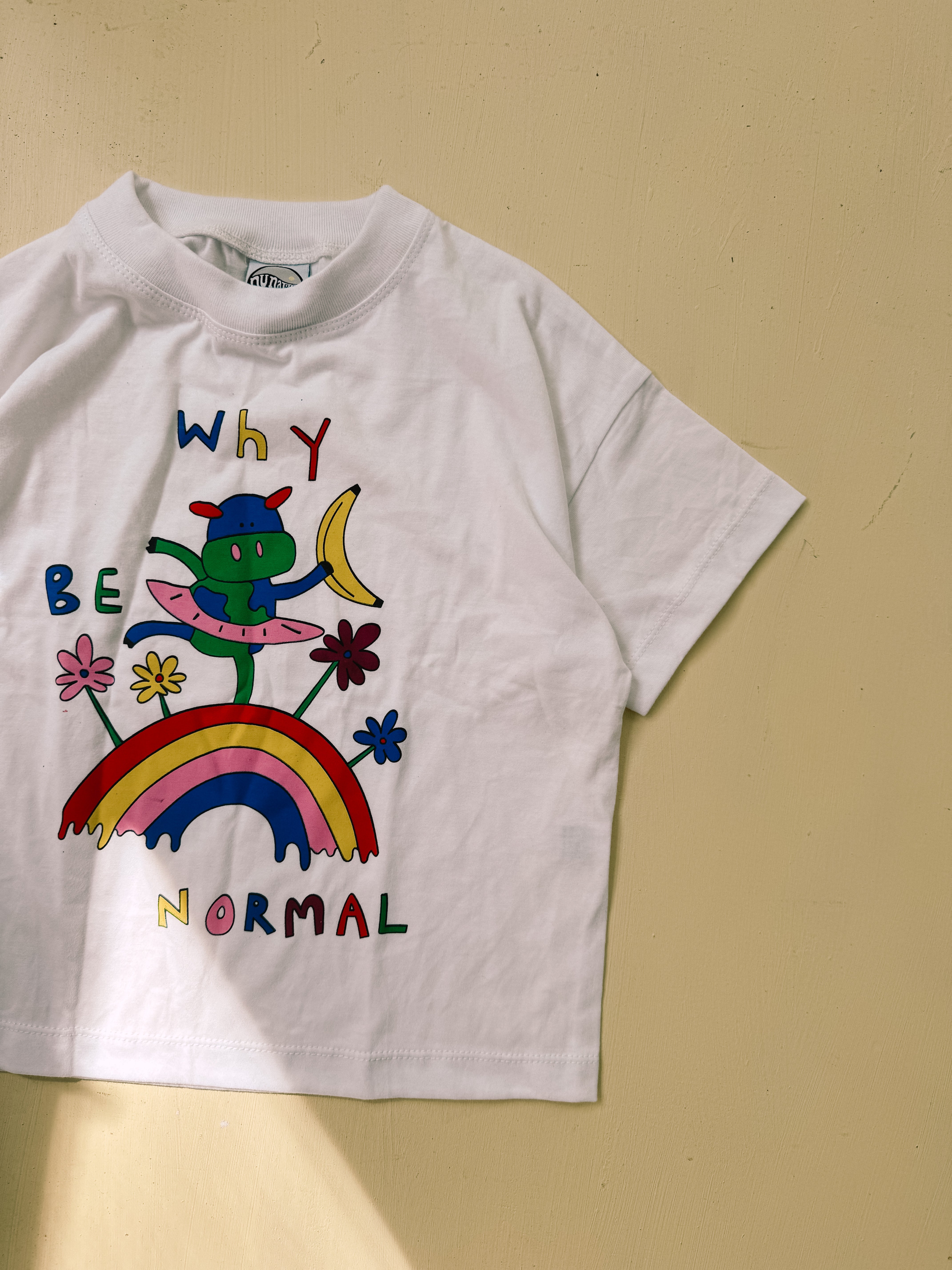 WHY BE NORMAL tee ~ oversized adults